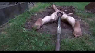 الساخنة مفتول العضلات يثير الملاعين سكسي تركي سكسي تركي المعلم الروسي