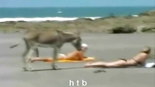 جميل ولطيف